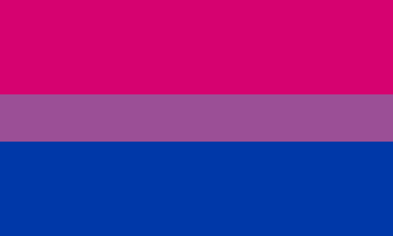 The bisexual flag